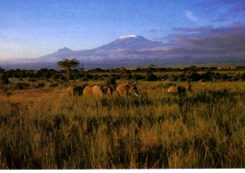Kilimanjaro gezien vanuit de laagvlakte